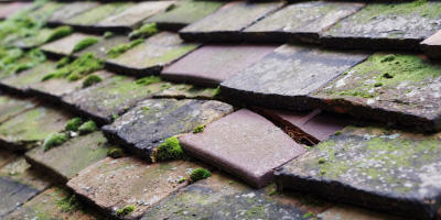 Nash roof repair costs